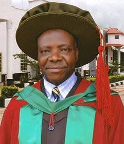 Prof. Daniel. S. Ugwu